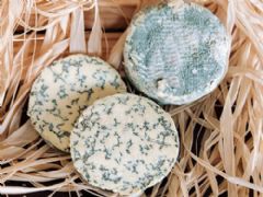 queso savel